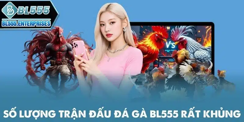 Đá Gà BL555 - Đam Mê Thành Tiền 2 so-luong-tran-dau-da-ga-bl555-rat-khung
